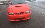 2004 Mustang Thumbnail 4
