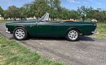1965 Tiger Thumbnail 15
