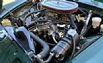 1965 Tiger Thumbnail 63