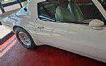1976 Trans Am Thumbnail 22