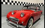 1958 Bugeye Thumbnail 19