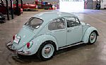 1966 Beetle Thumbnail 7