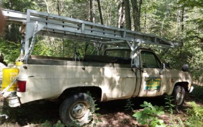 Photo of a 1981 Chevrolet K20 Truck for sale