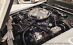 1981 Corvette Thumbnail 57