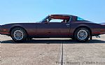 1980 Firebird Thumbnail 9