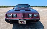 1980 Firebird Thumbnail 12