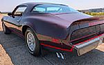 1980 Firebird Thumbnail 19