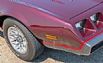 1980 Firebird Thumbnail 28