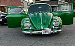 1964 BUG Thumbnail 4