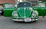 1964 BUG Thumbnail 3