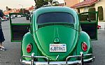 1964 BUG Thumbnail 9