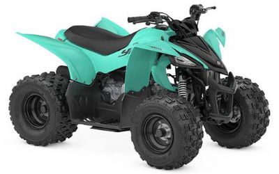 Photo of a 2025 Yamaha YFZ 50 for sale