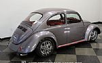 1973 Beetle Thumbnail 11