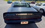 1979 Trans Am Thumbnail 8
