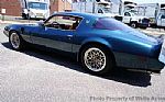 1979 Firebird Thumbnail 6