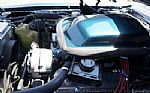 1979 Firebird Thumbnail 42