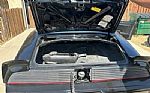 1979 Firebird Thumbnail 16