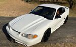 1998 Mustang SVT Cobra Thumbnail 12