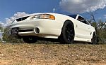 1998 Mustang SVT Cobra Thumbnail 14