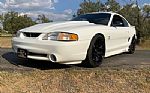 1998 Mustang SVT Cobra Thumbnail 13