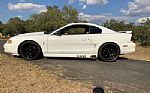 1998 Mustang SVT Cobra Thumbnail 15