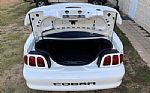 1998 Mustang SVT Cobra Thumbnail 39