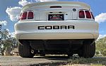 1998 Mustang SVT Cobra Thumbnail 46