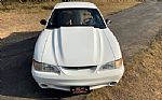 1998 Mustang SVT Cobra Thumbnail 58