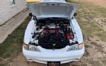 1998 Mustang SVT Cobra Thumbnail 59