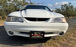 1998 Mustang SVT Cobra Thumbnail 67