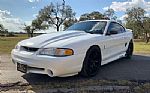 1998 Mustang SVT Cobra Thumbnail 82