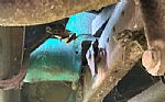 1953 3100 5 Window Pickup Thumbnail 16