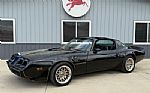 1981 Trans Am Thumbnail 1