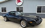 1981 Trans Am Thumbnail 66