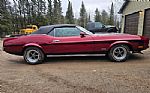 1973 Mustang Thumbnail 4
