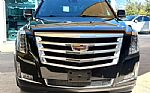 2019 Escalade Thumbnail 2