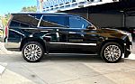 2019 Escalade Thumbnail 5