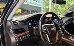 2019 Escalade Thumbnail 23
