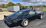 1979 Firebird Trans Am Thumbnail 15