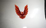 1979 Trans Am Thumbnail 55