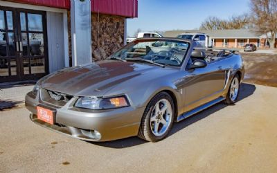 2001 Ford Mustang SVT Cobra Base 2DR Convertible
