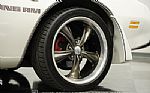 1981 Firebird Trans Am SE Thumbnail 61