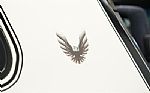 1981 Firebird Trans Am SE Thumbnail 75