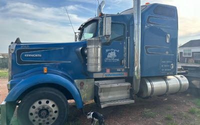 Photo of a 2006 Kenworth W900 Conventional Sleeper Semi for sale
