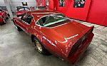 1976 Trans Am Thumbnail 19