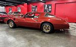 1976 Trans Am Thumbnail 20