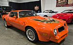 1976 Trans Am Thumbnail 2