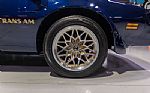 1977 Trans Am Thumbnail 30