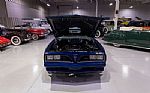 1977 Trans Am Thumbnail 31