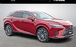 2024 RX Thumbnail 1